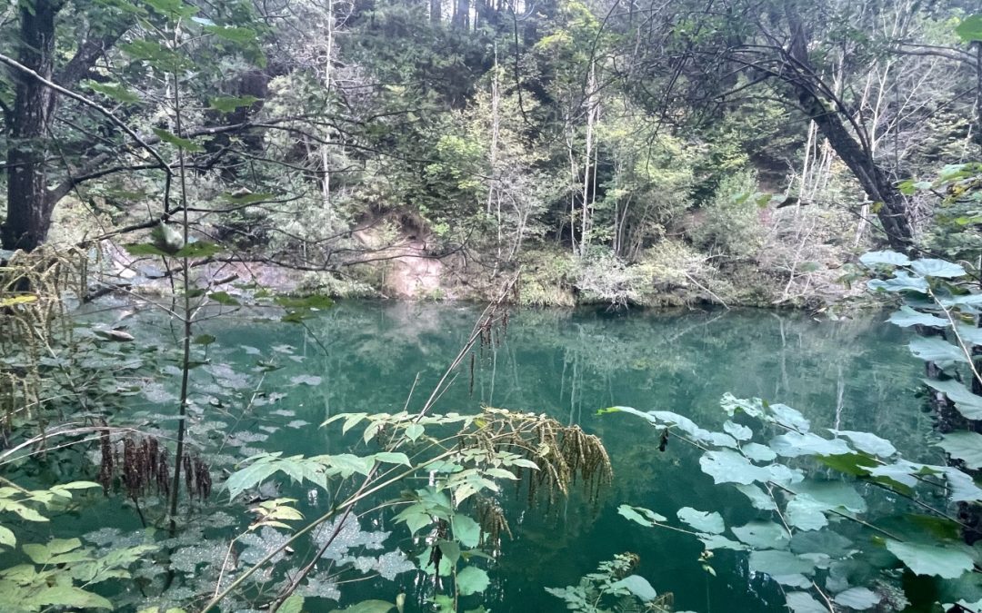 Biciklom od Međimurja do Alpa: skriveni početak rijeke Mure
